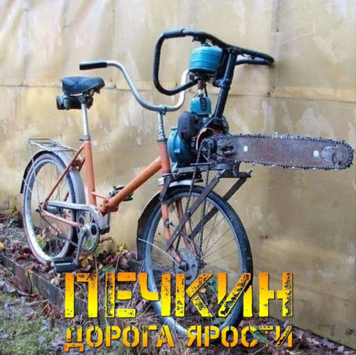 d53dsb6smbqovs9gf290.jpeg
