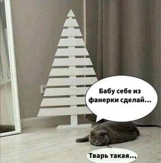 d53p5pmsmbqh36pke0m0.jpeg