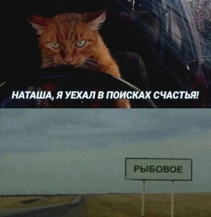 d5gg476smbqt5jgmdca0.jpeg