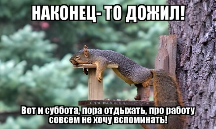 fbe0ec63756340a3ab94b8273df8f8e8.jpg