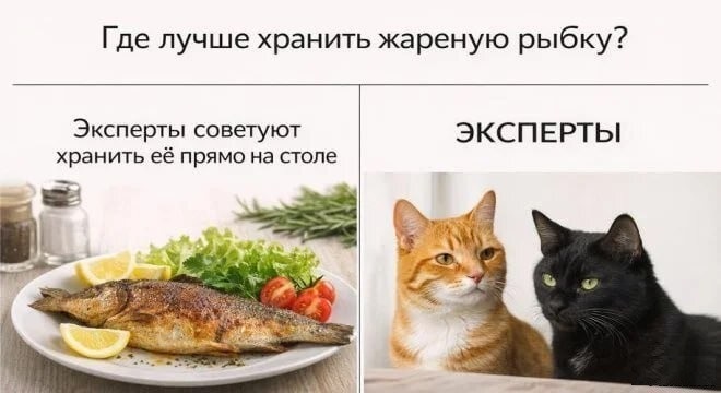 d628qlusmbqi215l4nf0.jpeg