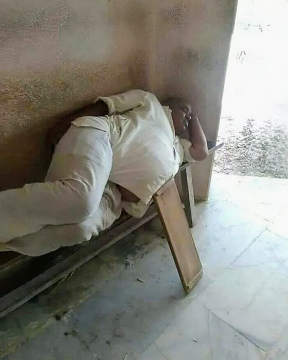 scale_1200 (3)~2.jpeg