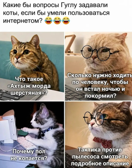 d7o3fn6smbqm8mm3j5c0.jpg