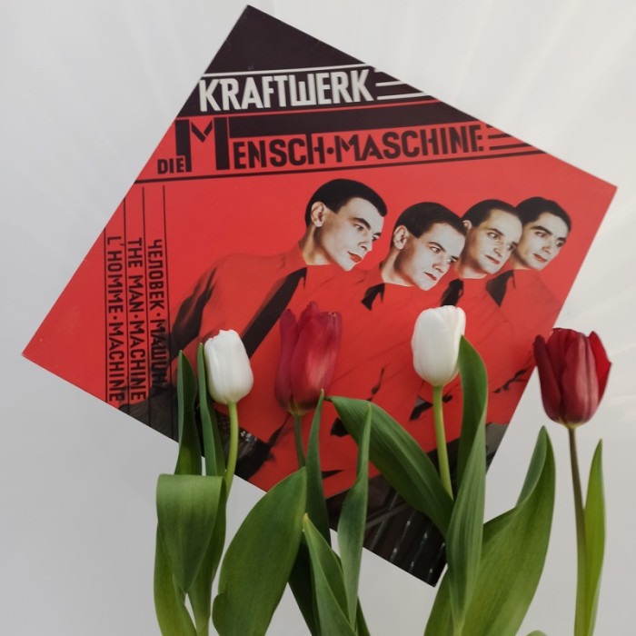 IMG_7937.jpeg
