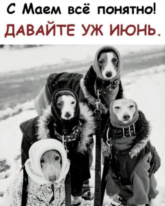 IMG_8021.jpeg