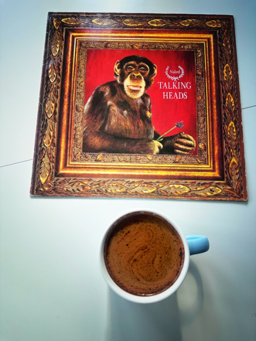 IMG_8034.jpeg