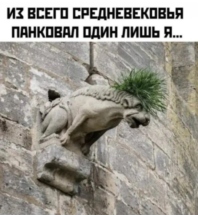 qfhbaw1q8gddnblmst7rdung.jpg