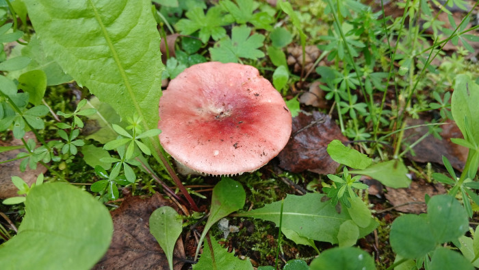 20260718_113604.jpg