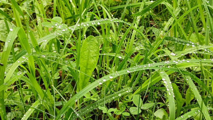 20260718_113219.jpg