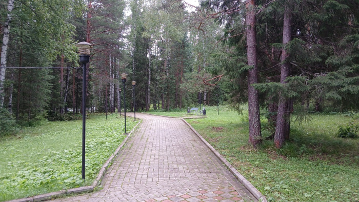 20260718_113114.jpg