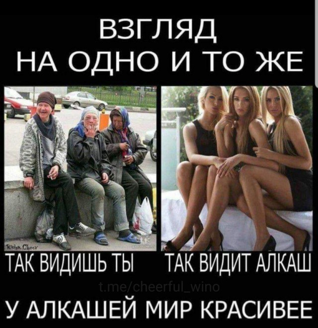 20488483.jpg