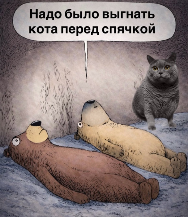 IMG_9057.jpeg