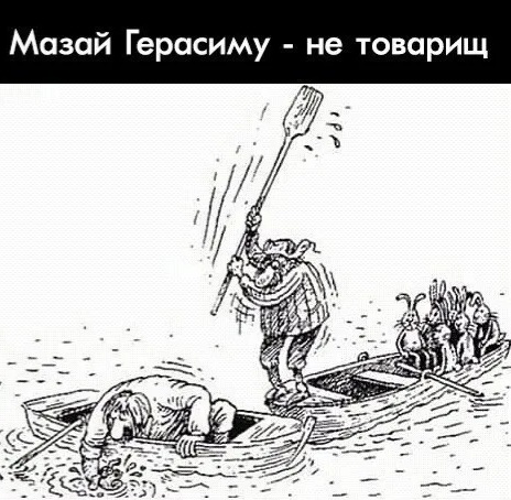 kzmm53k6n6hwybzvkutrnjav.jpg