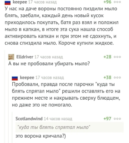 20358161_800.png