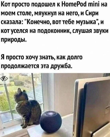 20372684_800.png