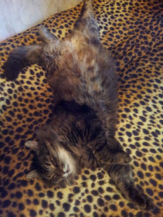 2013-06-09-12-59-14.jpg