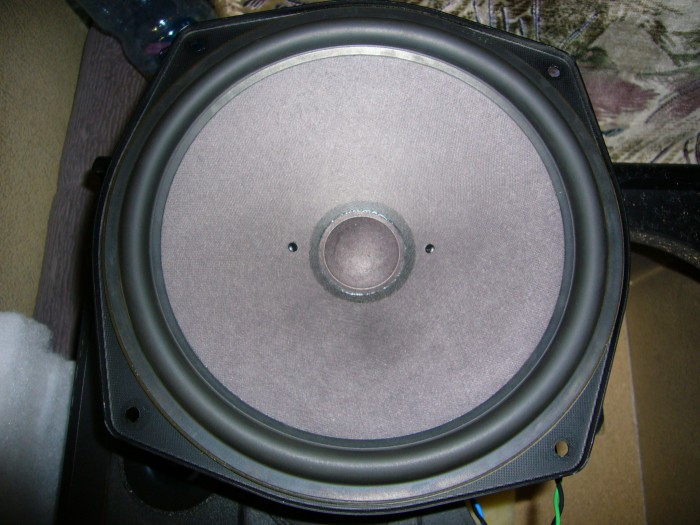 P1150445.JPG