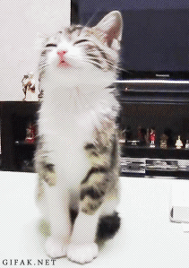 1353101899_462441.gif