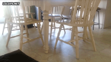 1378387425_1378357615_1848358143.gif