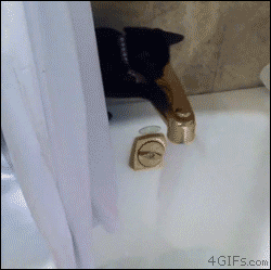 1378895010_vk_r2crpz.gif