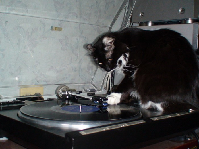 7_DJ-ing.jpg