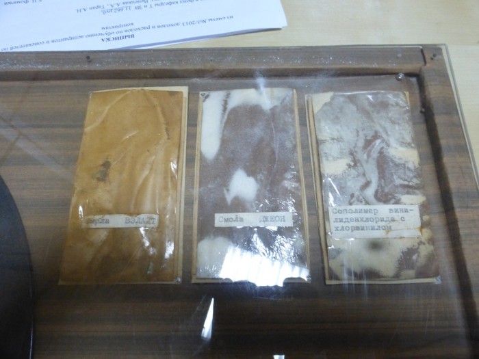 P1000542.jpg