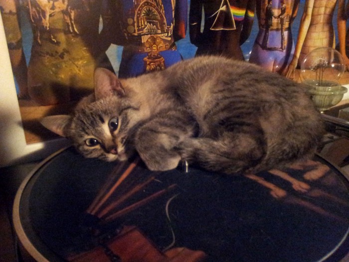2013-11-29-01.56.24.jpg