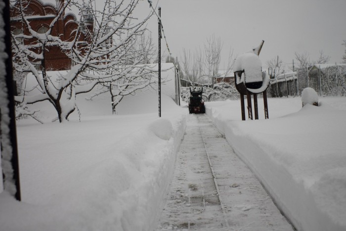 РЕС...IMG_6231.JPG