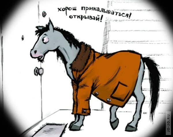 1238571468_014.jpg