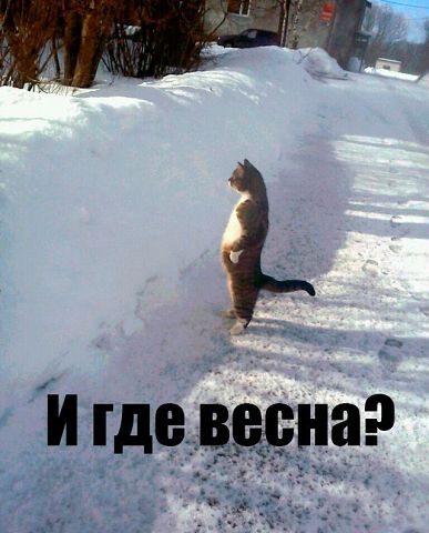 getImageррн.jpg