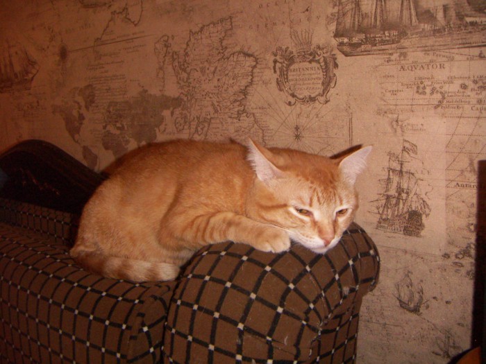 PICT0201.JPG