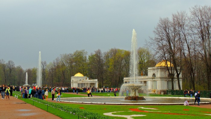 010.jpg