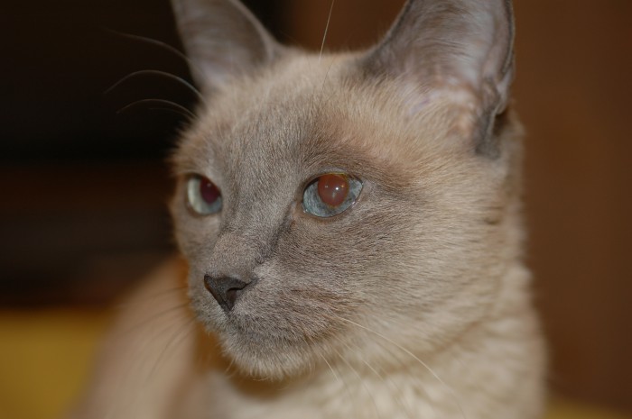 DSC_0066.JPG