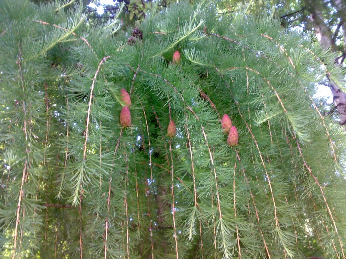 24052013022.jpg