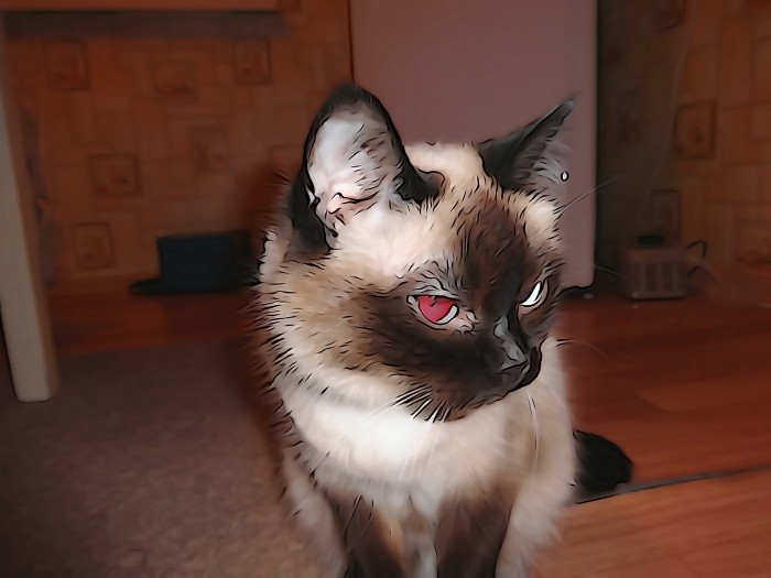 DSC00095.JPG