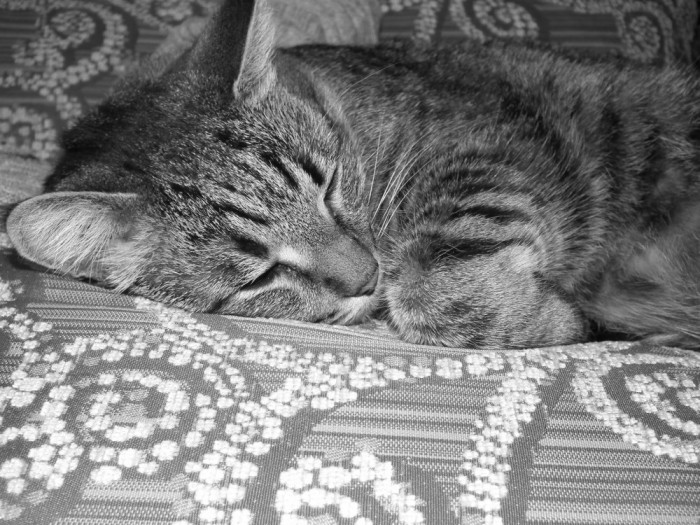 DSCF6329.JPG