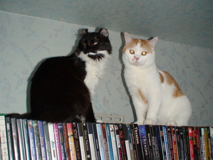 DSC00965.JPG