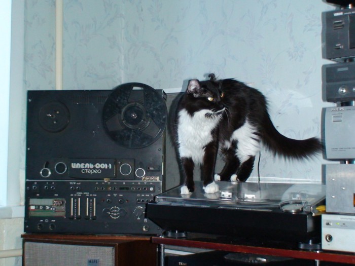 DSC00955.JPG