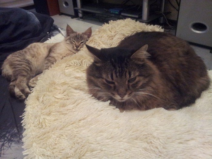 2013-11-21 14.16.19.jpg