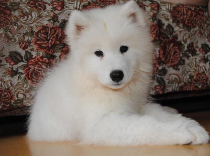 2011_06_06 026.jpg