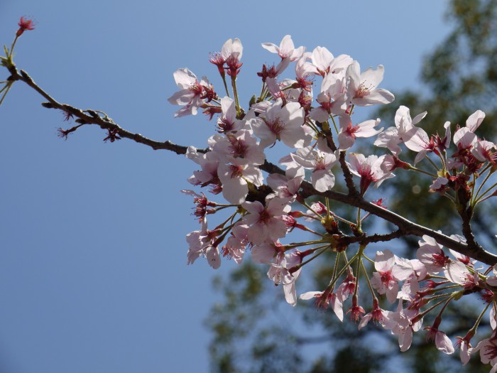 P1000058.jpg