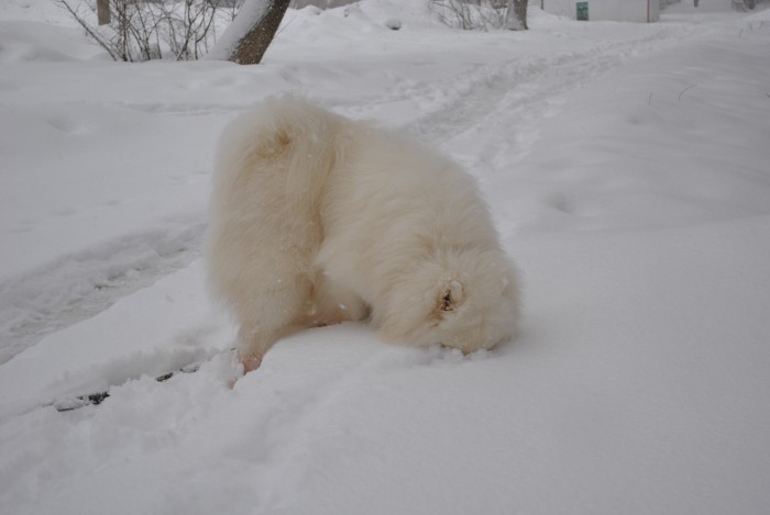 DSC_1046.jpg