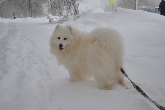 DSC_1019.jpg
