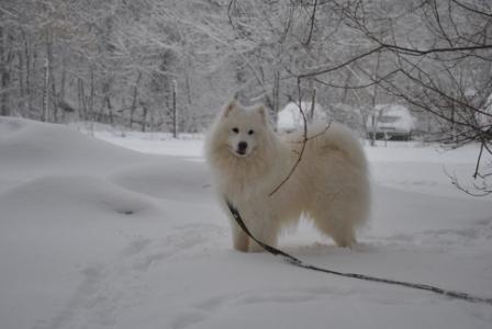 DSC_1025.jpg