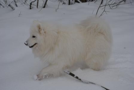 DSC_1055.jpg