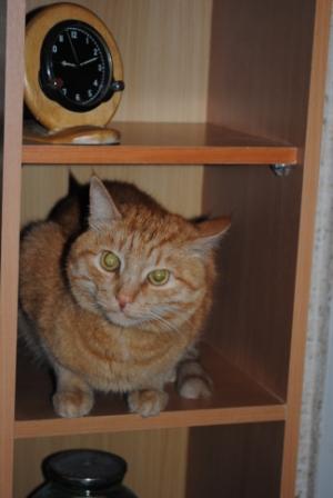 DSC_1196.jpg