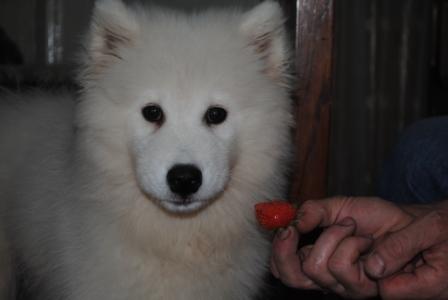 2011_07_10 003.jpg