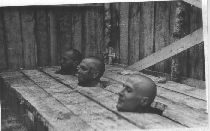ПолярнаяЗвезда.JPG