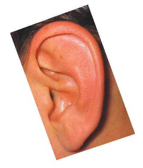 e2.JPG