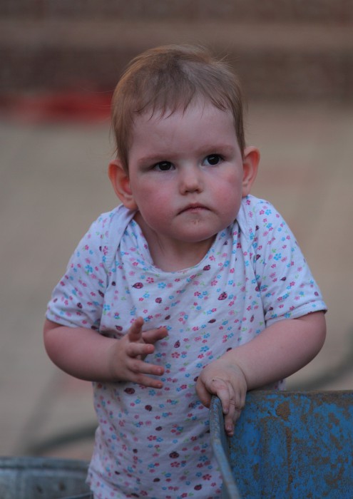 РЕС...IMG_4407.JPG